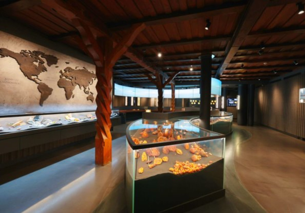 New Museum in Lithuania Invites to explore Baltic legacy through unique amber collection