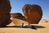 Algeria's desert